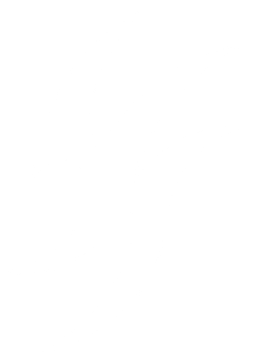 Fenize